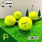 ロストボール タイトリスト Titleist PRO V1 年代混合 イエロー 12球 【Aランク】