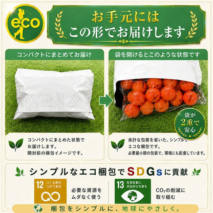 ロストボール ブランド混合 オレンジ 50球 【Bランク】