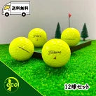 ロストボール タイトリスト Titleist PRO V1x 2019年 イエロー 12球 【Aランク】 ゴルフボール 【中古】