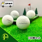 ロストボール タイトリスト PRO V1 年代混合 100球 Bランク 中古 ゴルフボール エコボール